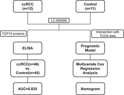 Excavation of diagnostic biomarkers and construction of prognostic model for clear cell renal cell carcinoma based on urine proteomics